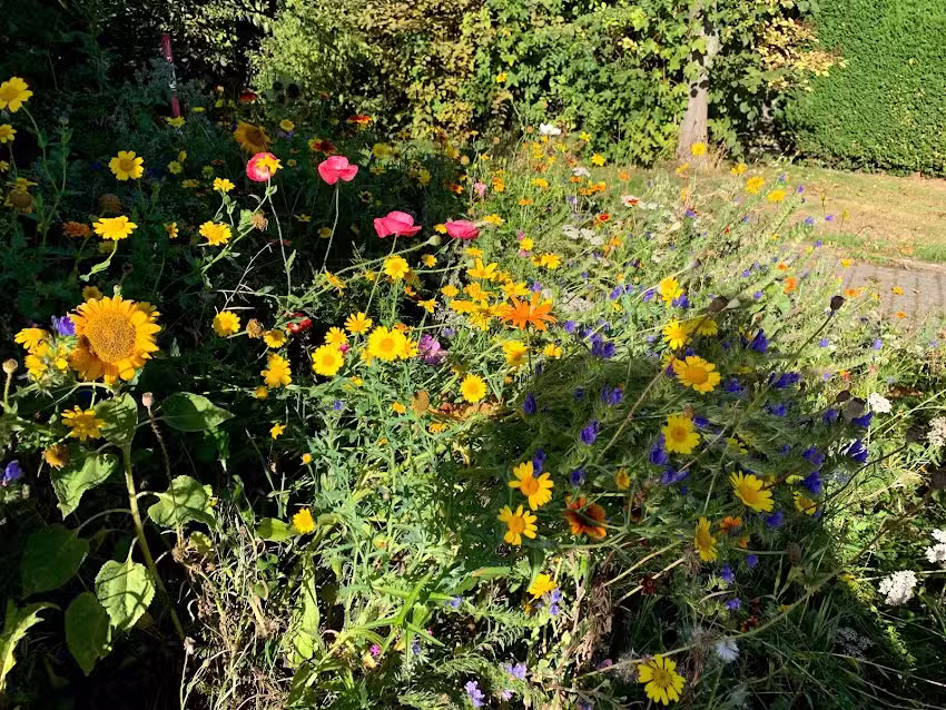 Veronika Felithan Friseursalon