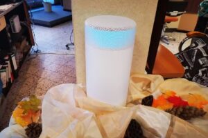 Wulfener Frisurenstudio