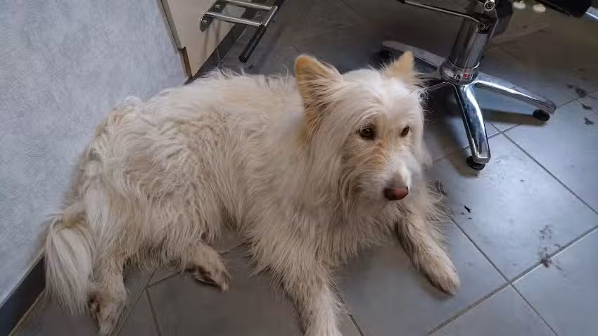 Yanina Purschke Friseurmeisterin