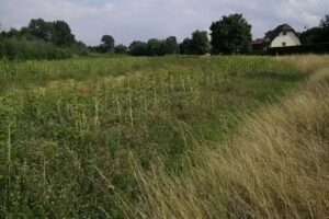 Zosel C. und Pilarski S. GbR