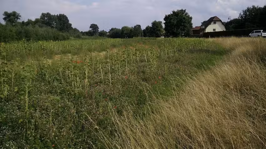 Zosel C. und Pilarski S. GbR